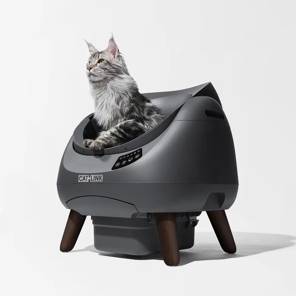 CATLINK litière autonettoyante dessus ouvert : litière gris foncé de trois quarts avec un chat (photo fabricant)