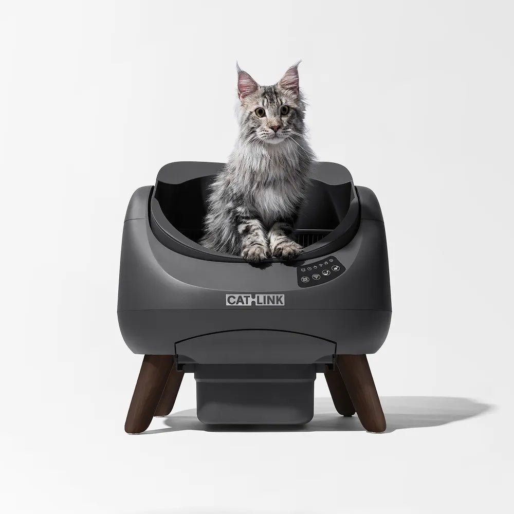 CATLINK litière autonettoyante dessus ouvert : litière gris foncé vue de face avec un chat (photo fabricant)